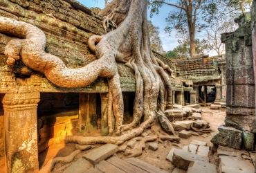 Tour della tempio di Angkor