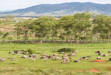 Volo per Xieng Khouang - Esplora la Piana delle Giare