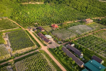 Visita alla fattoria di pepe di Kampot e trasferimento a Kep