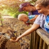 Esplorate la destinazioni per famiglia e bambini: Zoo in Thailandia