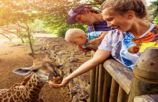 Esplorate la destinazioni per famiglia e bambini: Zoo in Thailandia