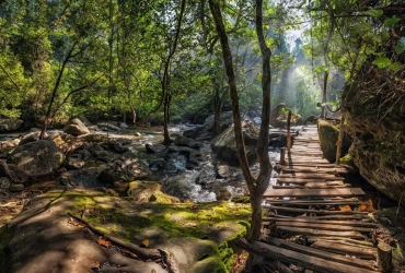 Phnom Kulen