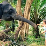 Tour nella giungla di Khao Sok 4 giorni 3 notti