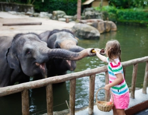 Laos con bambini: 10 cose da fare durante una vacanza in famiglia