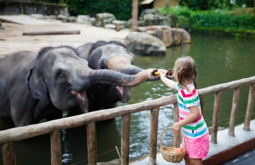 Laos con bambini: 10 cose da fare durante una vacanza in famiglia