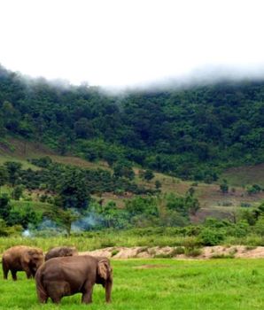 Tour d'avventura di Mondulkiri in 2 giorni e 1 notte