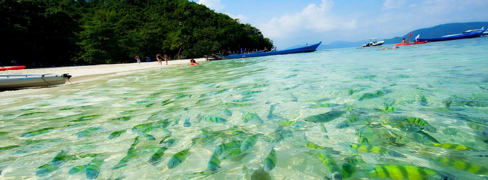 Isola dei Coral