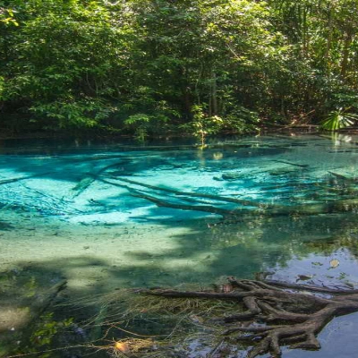 Parco Naturale della Foresta di Thung Teao