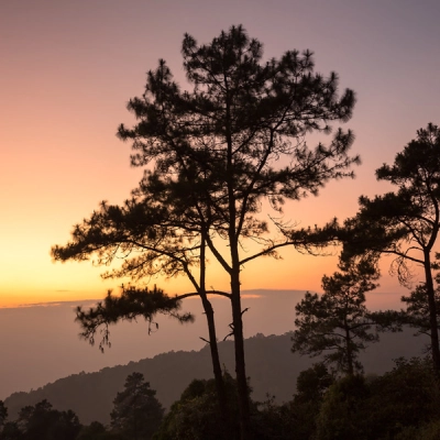 Il Parco Nazionale Huai Nam Dang