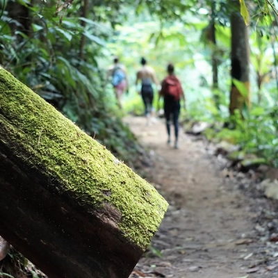 Parco nazionale forestale di Namtok Khun Kon