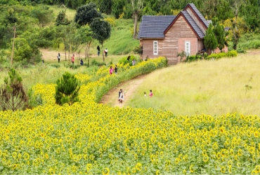 Alla Scoperta di Da Lat – La Città dei Fiori