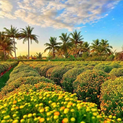 Villaggio dei fiori Sa Dec