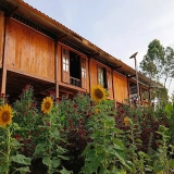 Viaggio corto di 2 giorni a Yen Bai - Ecolodge Vu Linh