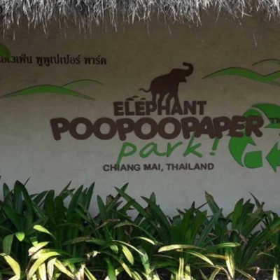 Parco Elephant PoopooPaper