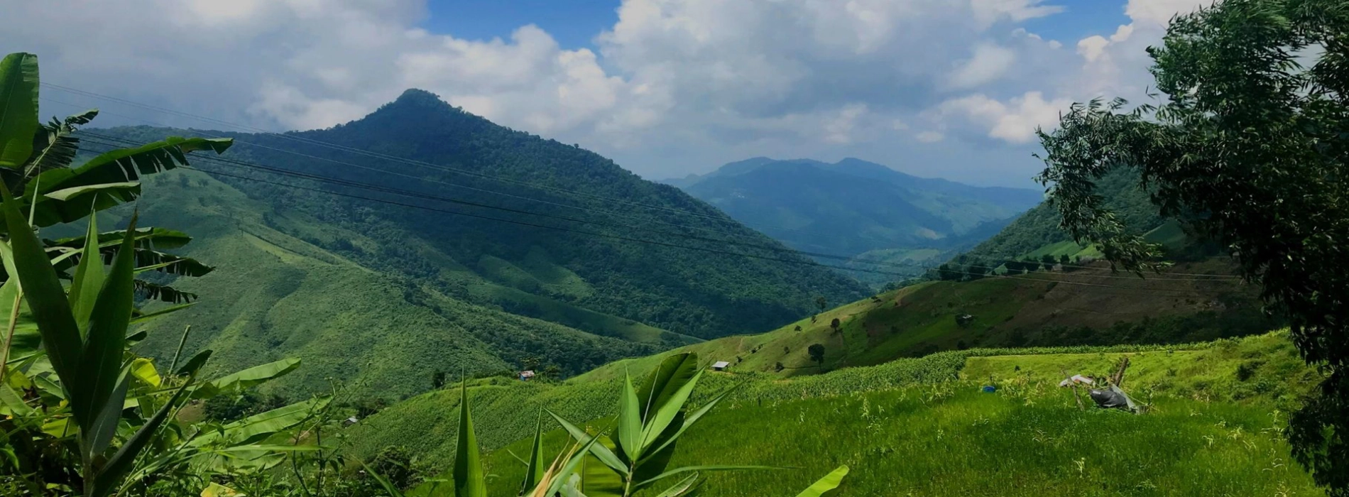 Parco Nazionale di Doi Phu Kha