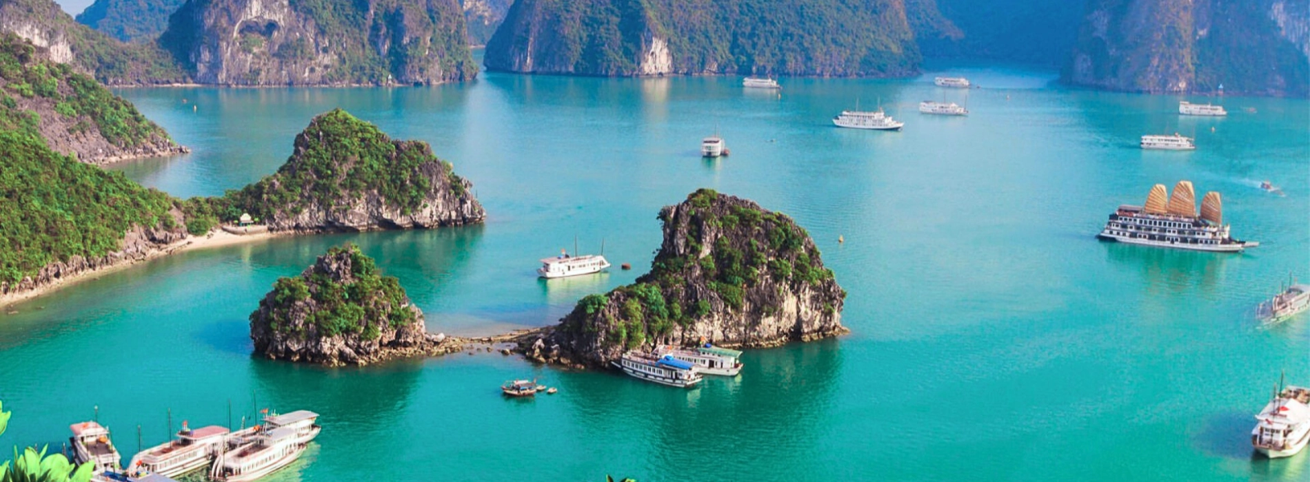 Tesori del Nord: Un'avventura di 5 giorni tra Hanoi e la Baia di Halong