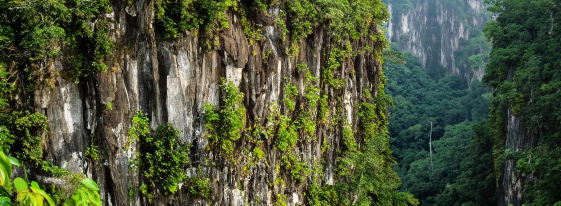 Una giornata nell' parco nazionale Cuc Phuong