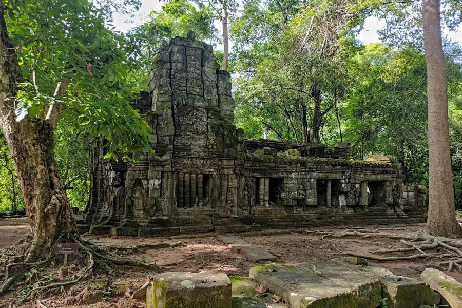 Ta Prohm - Consigli di viaggio - Attrazione in Cambogia