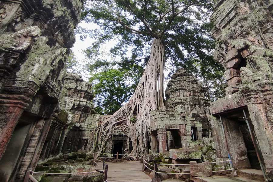 Ta Prohm - Consigli di viaggio - Attrazione in Cambogia