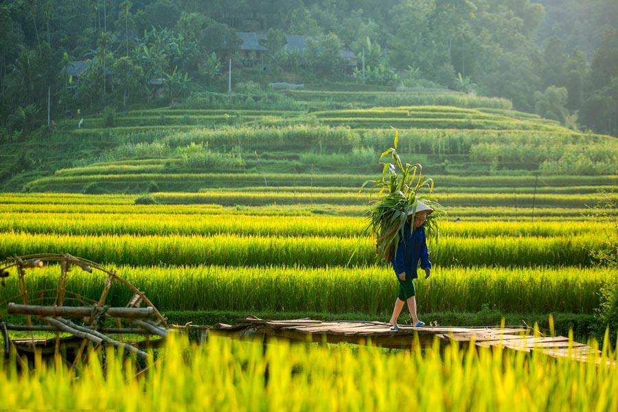 Ban Don, Pu Luong a Thanh Hoa