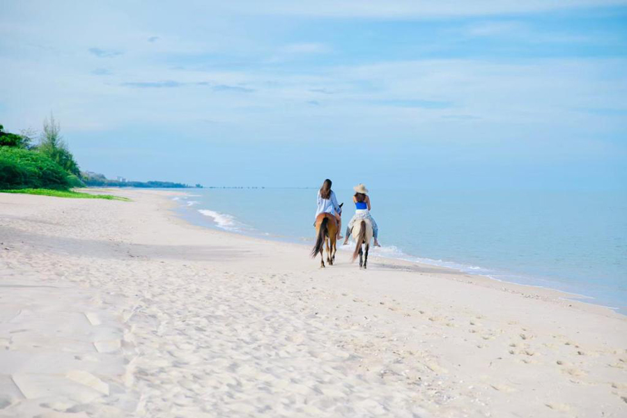 L'equitazione è anche un'attività famosa sulla spiaggia di Cha-Am