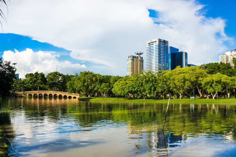 Goditi la natura e la tranquillità al Chatuchak Park