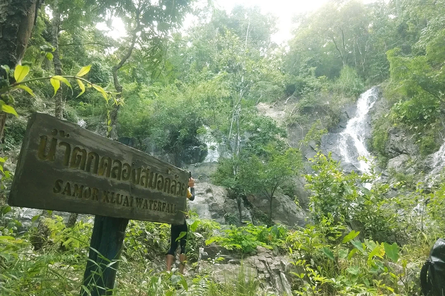 Immergiti nella natura al Parco nazionale di Khlong Wang Chao