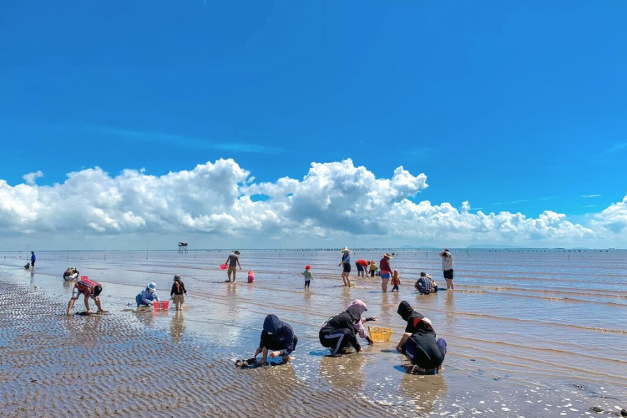 La spiaggia di Tan Thanh - Attrazione in Tien Giang