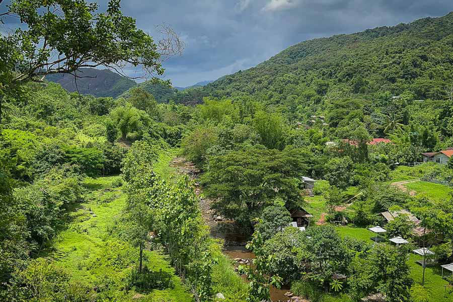 Bellissimo paesaggio naturale del parco