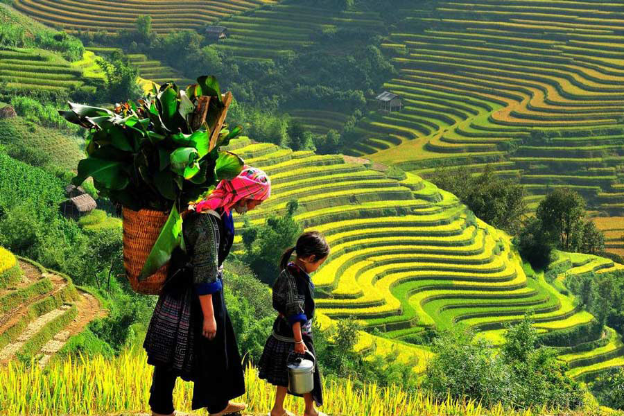 Muong Hoa di SaPa, Lao Cai