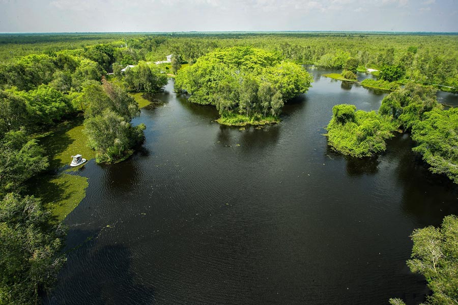 Parco nazionale U Minh Thuong in Vietnam