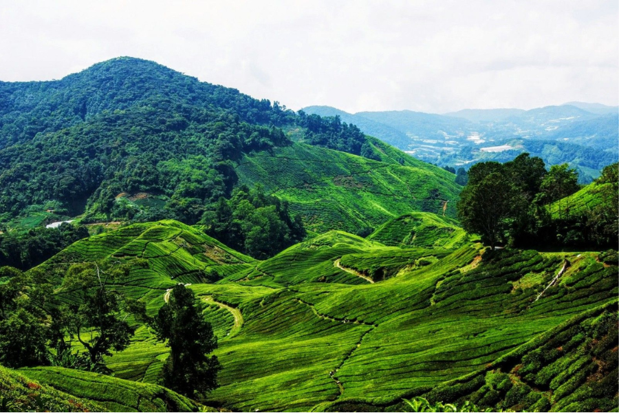 La montagna di Phnom Aural - Guida di viaggio in Cambogia