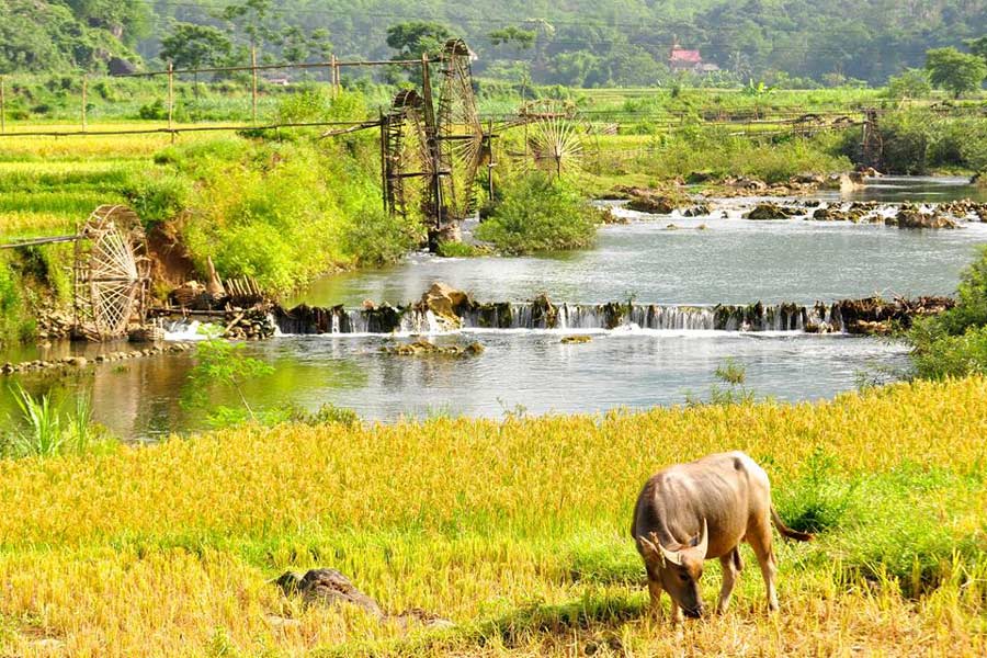 Pu Luong di Thanh Hoa