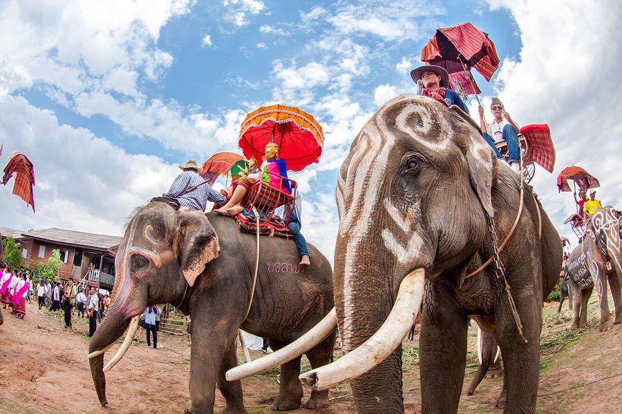 Festival degli elefanti in Thailandia