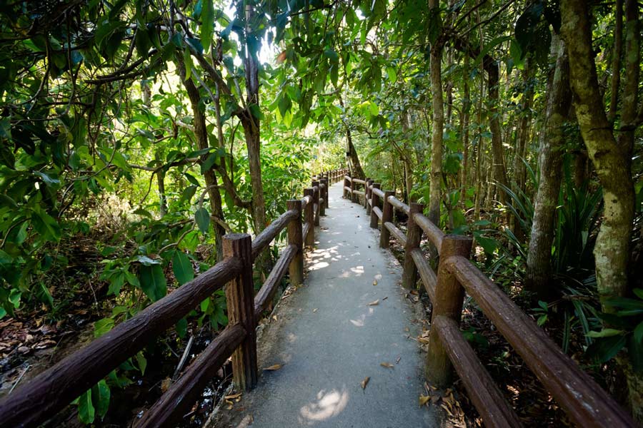 Come muoversi al Parco Naturale della Foresta di Thung Teao