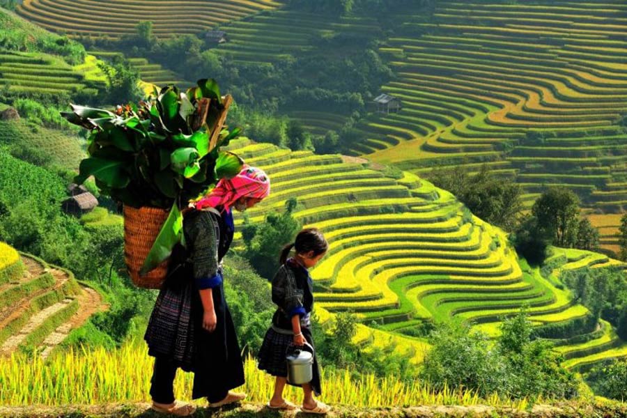 Trekking della valle di Muong Hoa