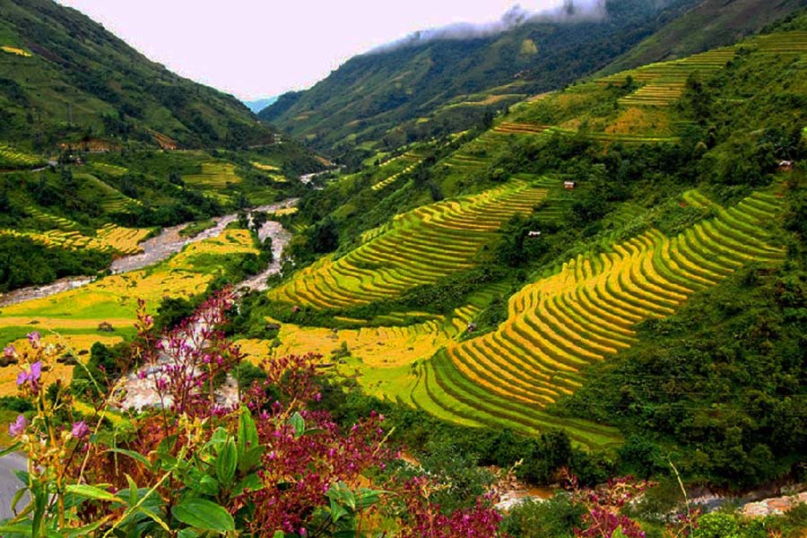 Trekking nella valle di Muong Hoa