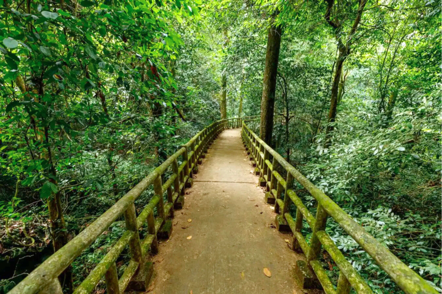 Una giornata nell' parco nazionale Cuc Phuong