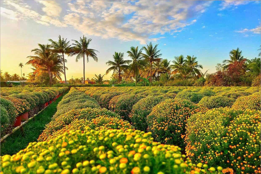 Villaggio dei fiori Sa Dec - Guida di viaggio - Attrazione in VietNam