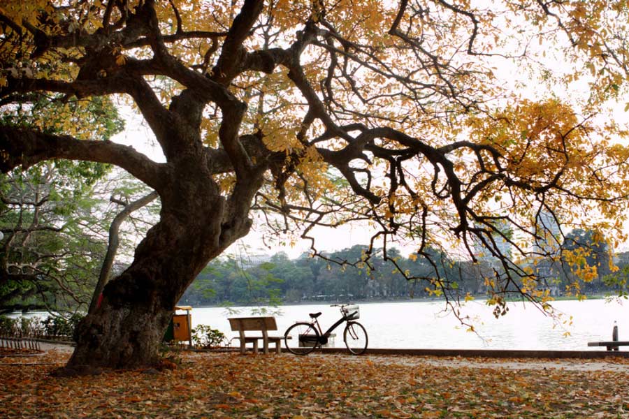 L'autunno del lago Hoan Kiem