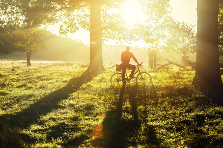 Andare in bicicletta nel parco