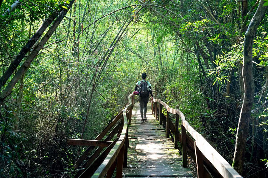 Trekking in Vietnam