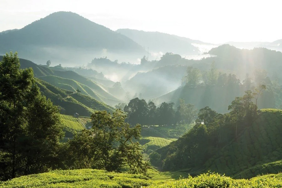 Chiang Mai e la Thailandia del Nord