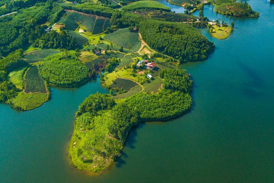 Collina di tè a Thanh Chuong