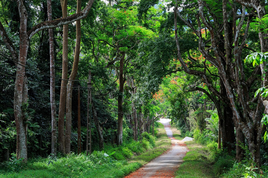 Trekking in Vietnam