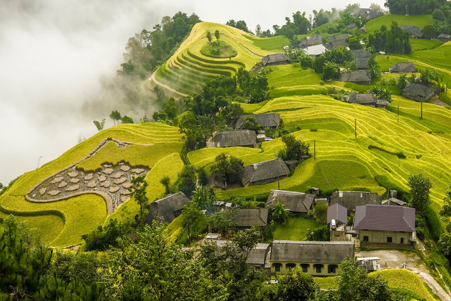 La bellezza di Hoang Su Phi