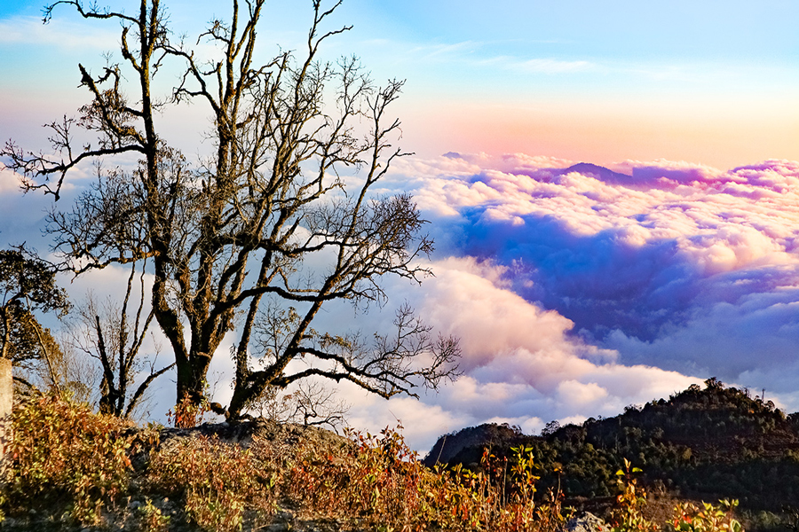 La bellezza di Hoang Su Phi