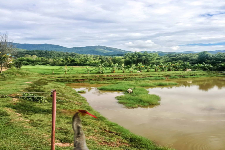 Panoramica di Muang Sing