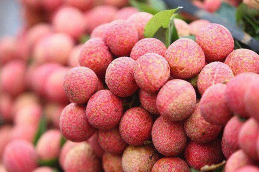 Il frutto di litchi del Vietnam