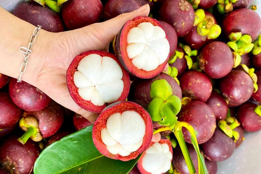 Il frutto mangostano di Vietnam